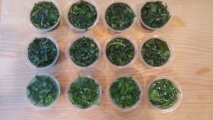 cups filled with basil
