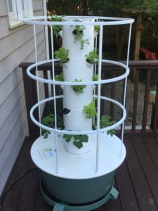 Tower garden with cage showing three-week old seedlings
