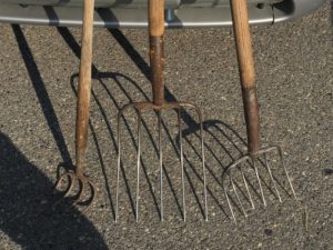 Three old gardening tools from an estate sale