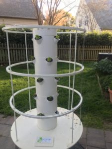 Tower garden with small seedlings