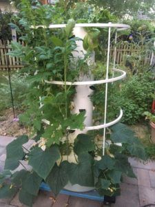 Tower Garden with grown plants