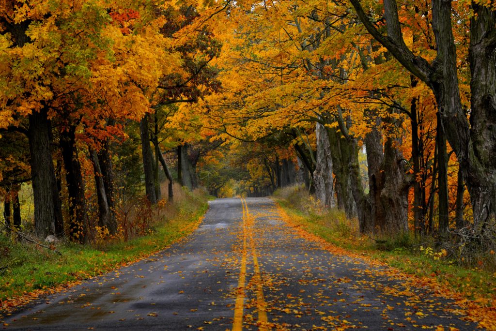 White Mountains New Hampshire | Whatsoeverish