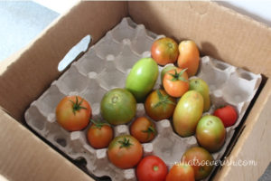 storing tomatoes - reds on top