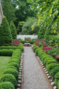 Path lined with boxwoods