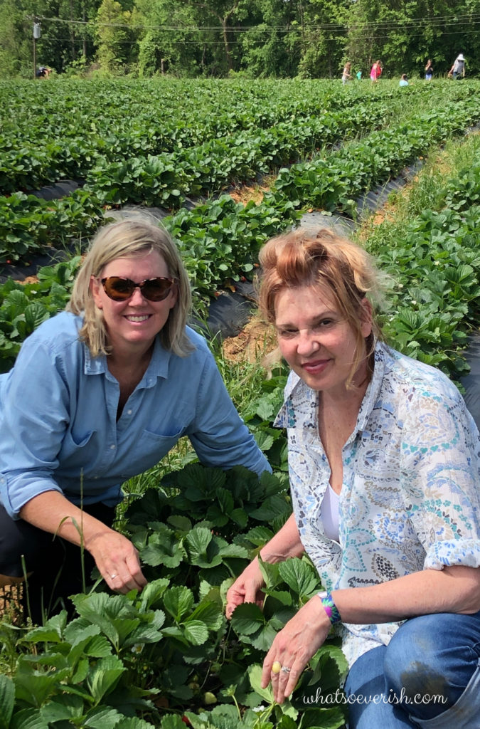 Two women picking strawberries in a patch